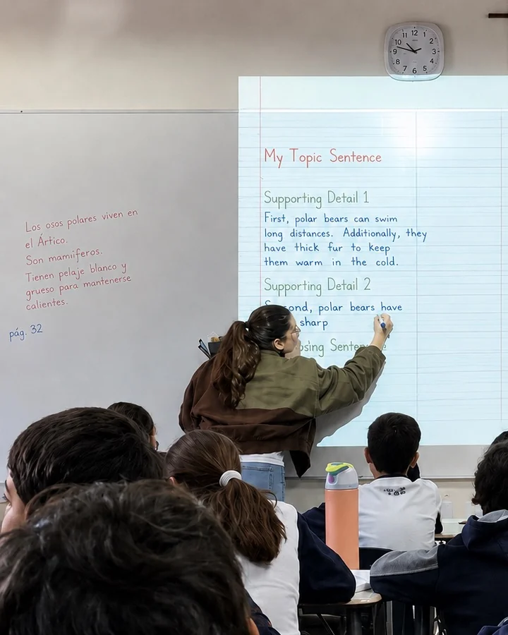 Isidora Benito (Miss Isi) escribe en la pizarra un párrafo en inglés sobre los osos polares, junto a notas en español, frente a su curso
